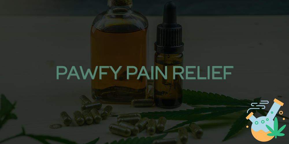 Pawfy Pain Relief: Natural Solution for Pet Discomfort