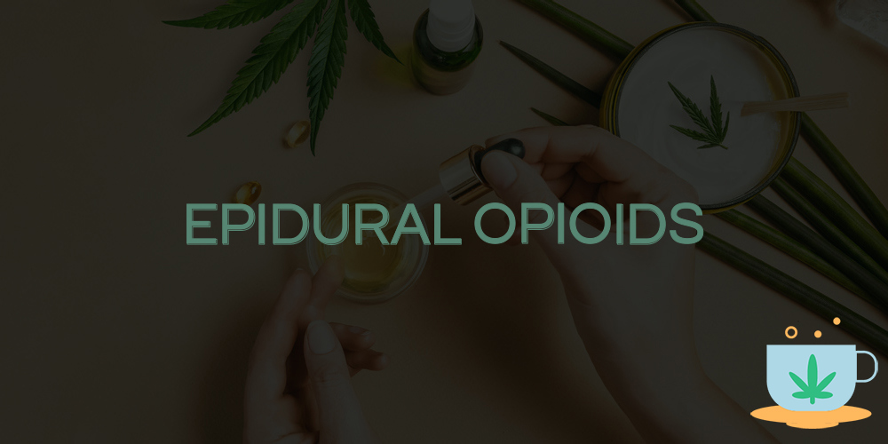 epidural opioids