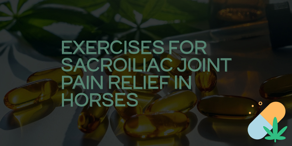 exercises for sacroiliac joint pain relief in horses