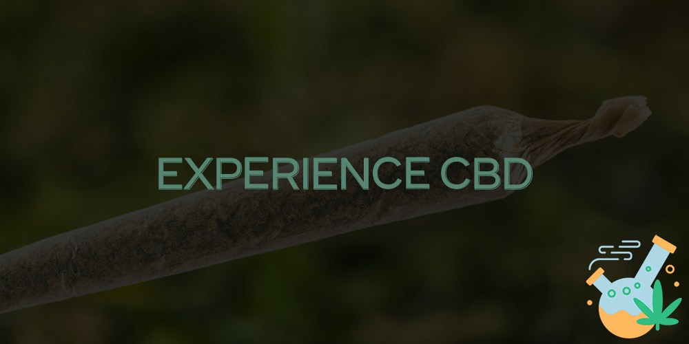 experience cbd