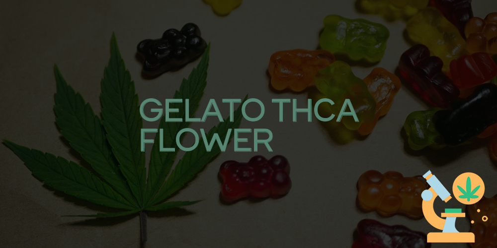 gelato thca flower