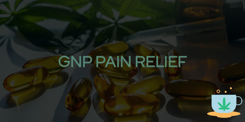 gnp pain relief