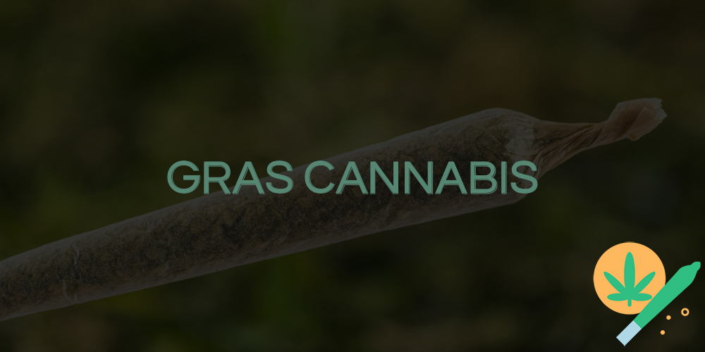 gras cannabis