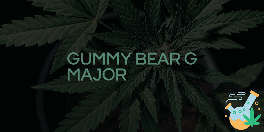 gummy bear g major