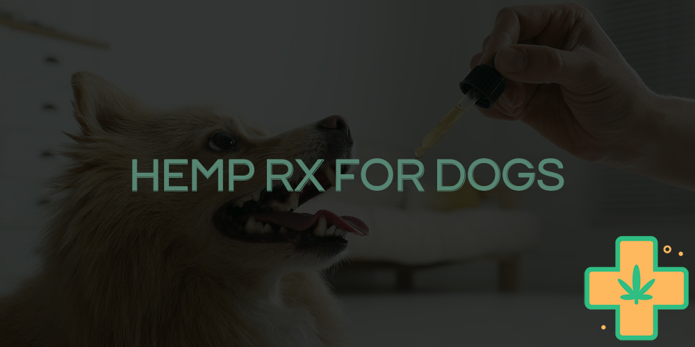 hemp rx for dogs