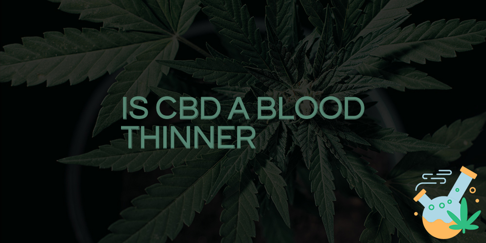 is cbd a blood thinner