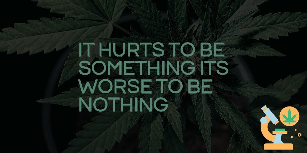 it hurts to be something its worse to be nothing