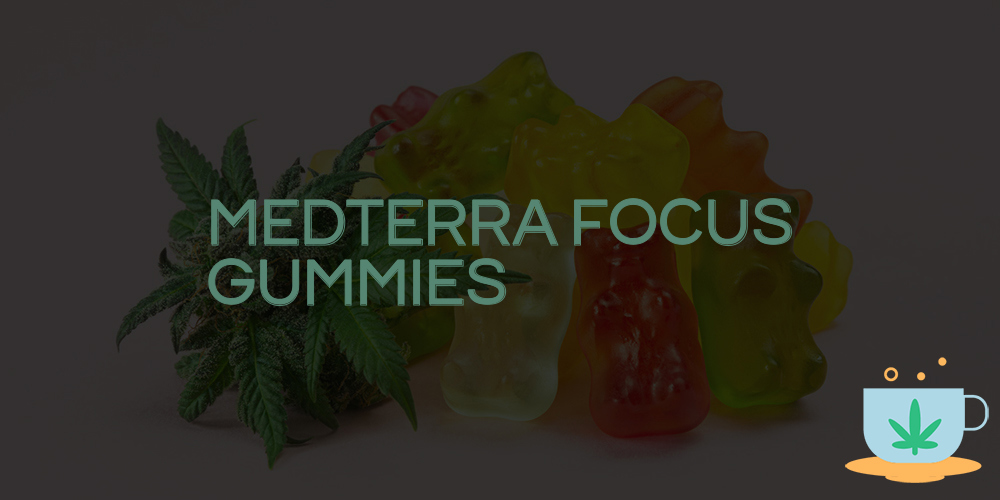 medterra focus gummies