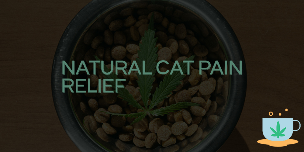 natural cat pain relief