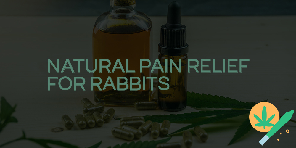 natural pain relief for rabbits