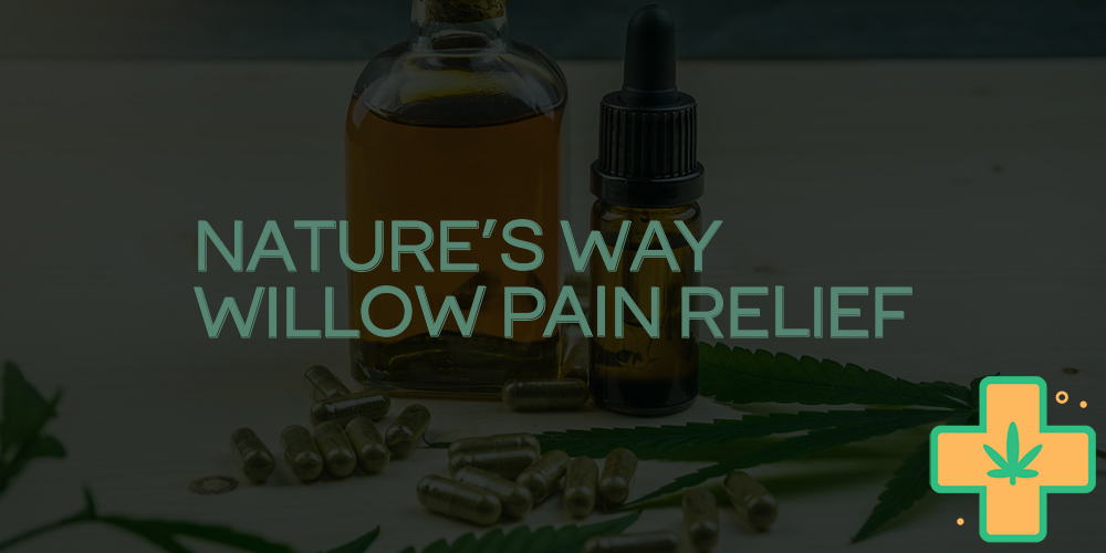 nature's way willow pain relief