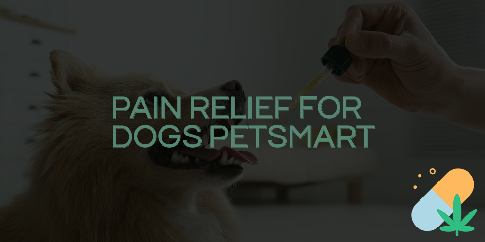 pain relief for dogs petsmart