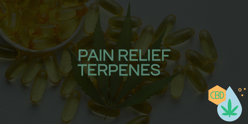 pain relief terpenes