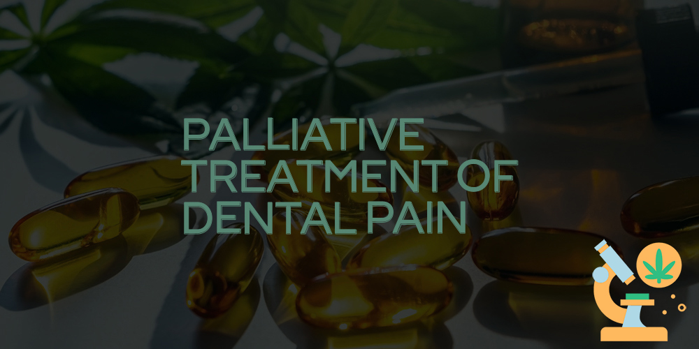 palliative treatment of dental pain
