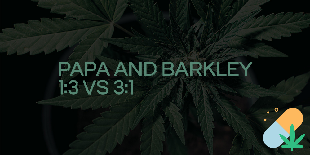 papa and barkley 1:3 vs 3:1